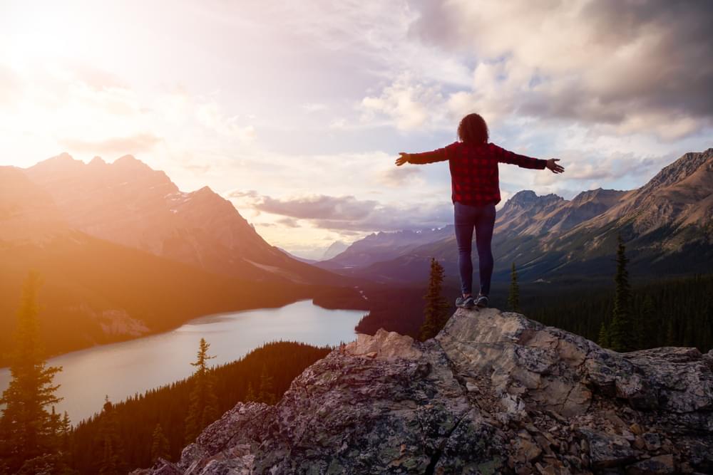 The Volatility Buffer Strategy Paradigm Life